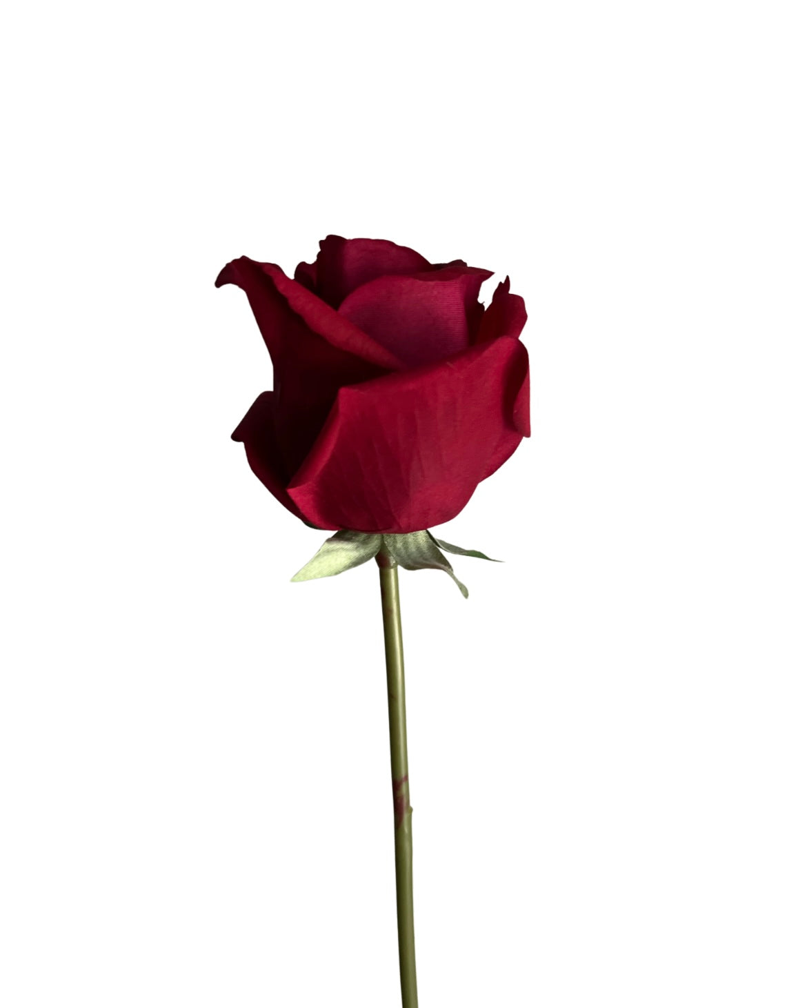 Rose buds in glass vase