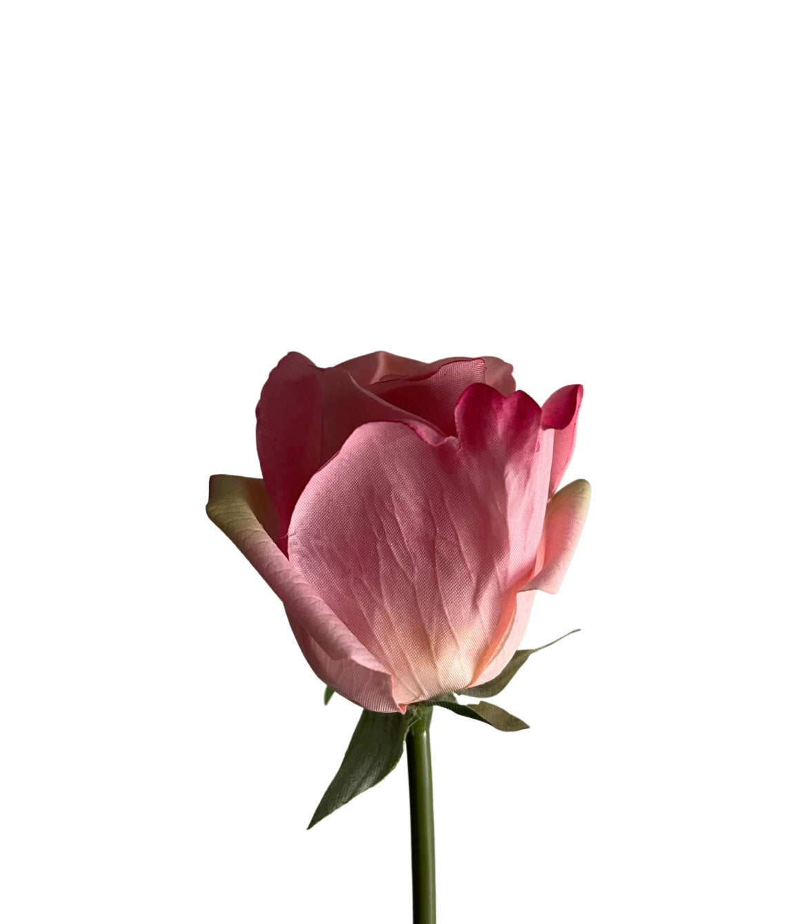 Rose buds in glass vase