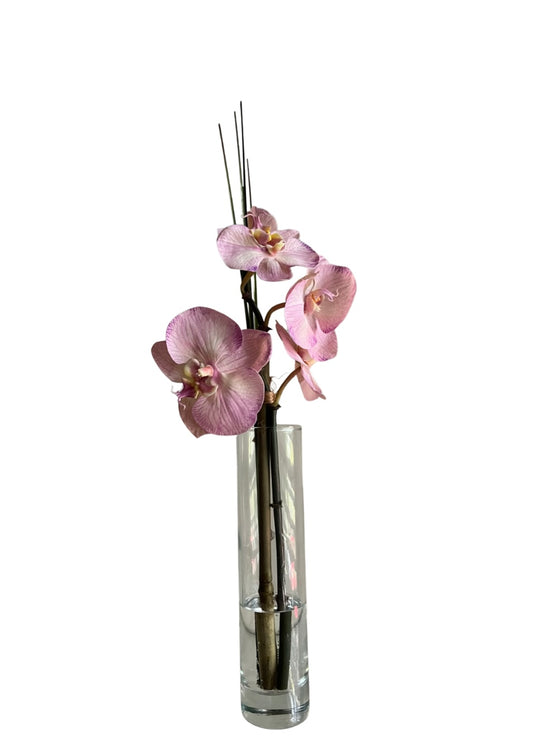 Pink Phalaenopsis Bud Vase