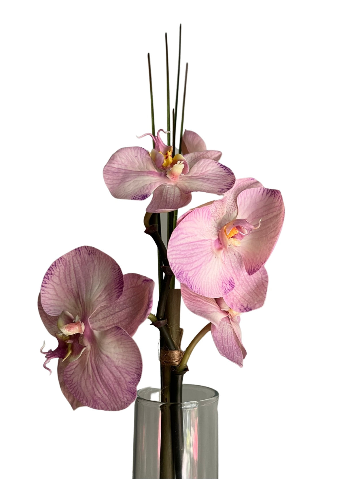 Pink Phalaenopsis Bud Vase